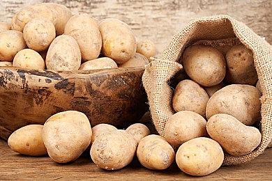 《明末：渊虚之羽》20分钟实机演示 战斗非常刺激